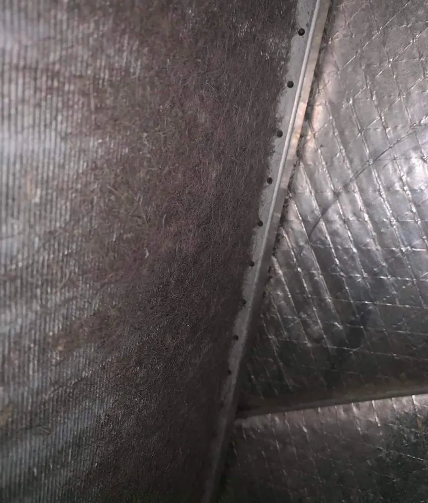 Slide of DFW Pro Vendor