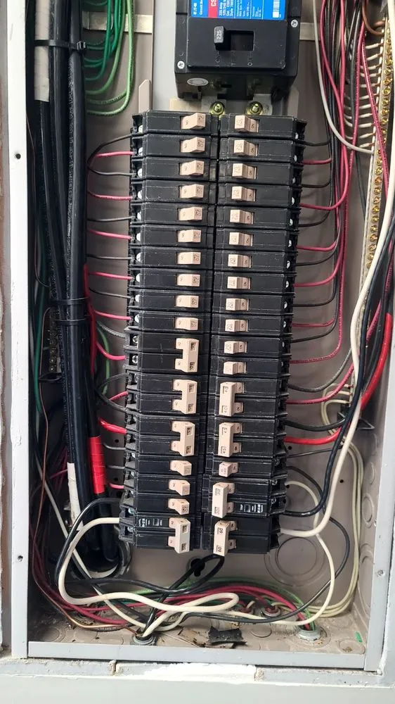 Slide of DG Electric Service