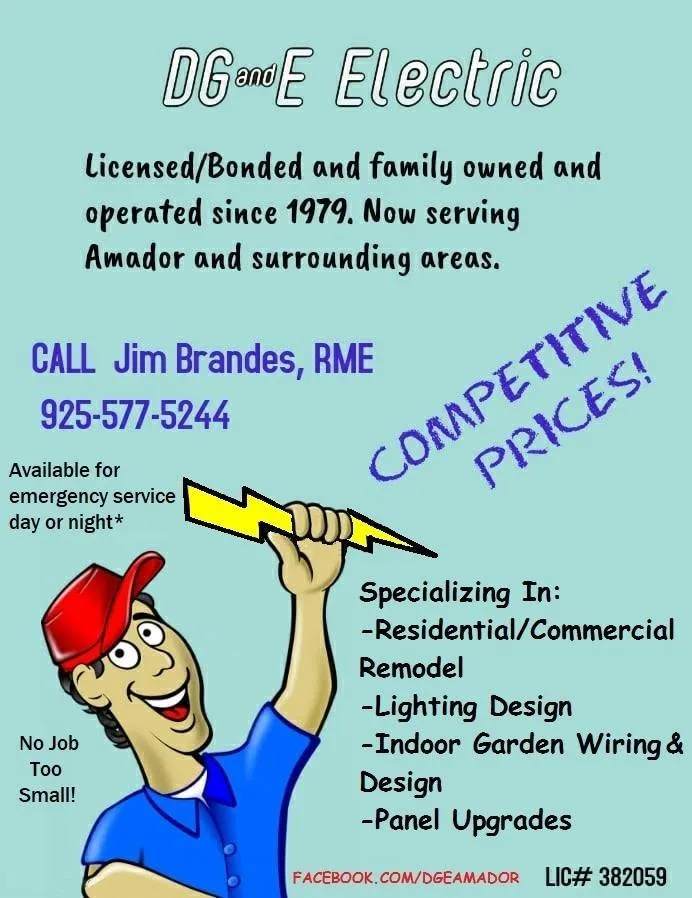 Slide of DG&E Electric