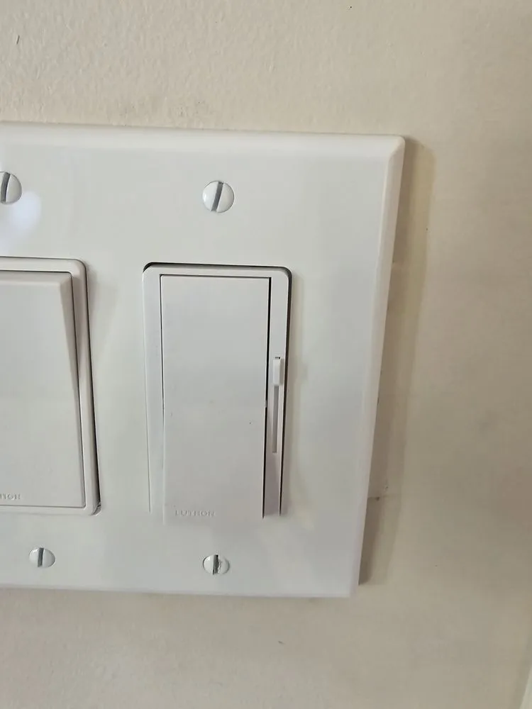 Slide of Diamond Dog Electric