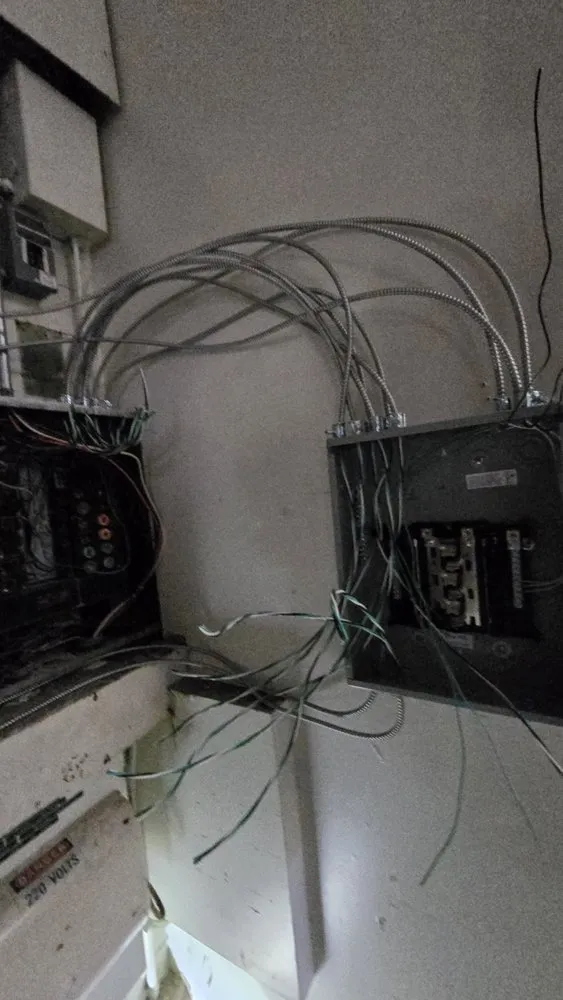 Slide of Diamond Dog Electric