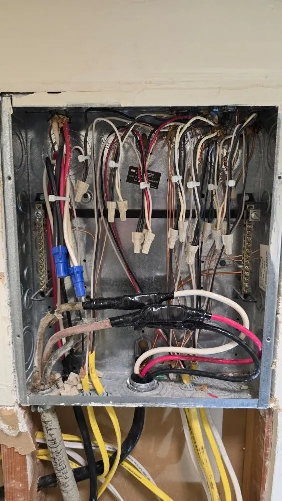 Slide of Diamond Dog Electric