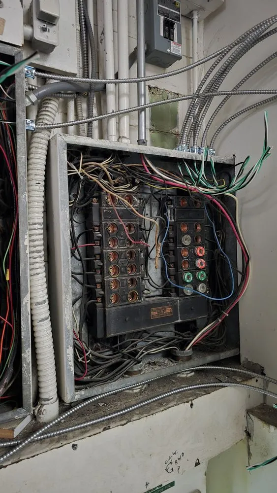 Slide of Diamond Dog Electric