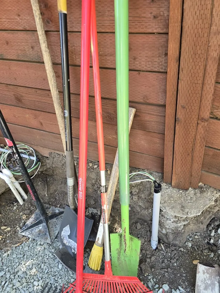 Slide of Diamond Dog Electric