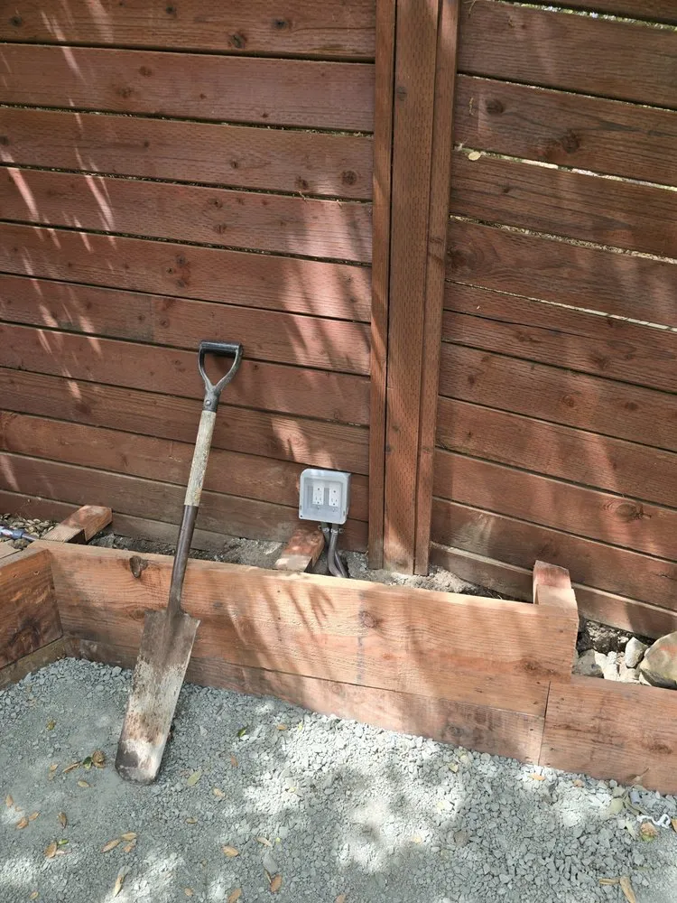 Slide of Diamond Dog Electric