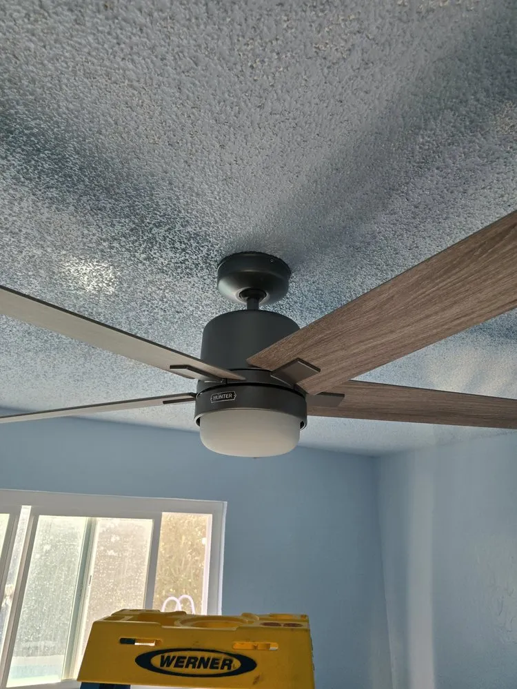 Slide of Diamond Dog Electric