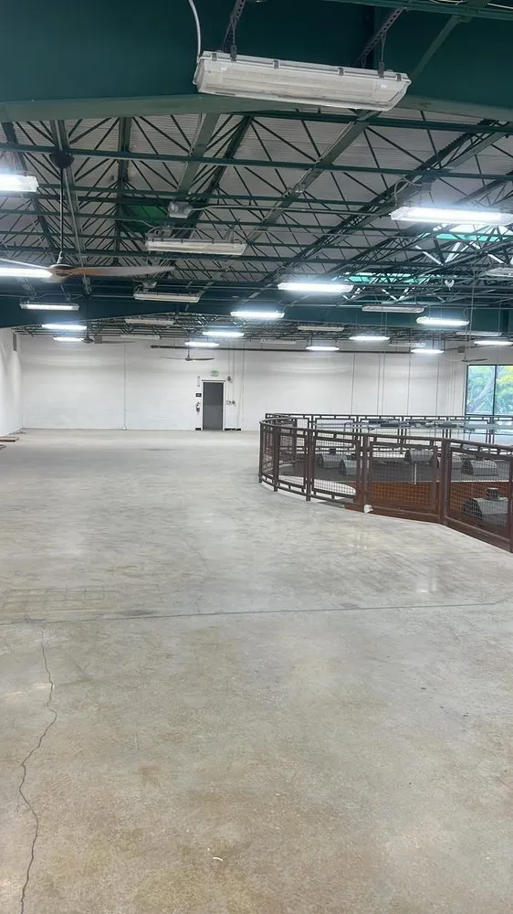 Slide of Diamond King Electric Division