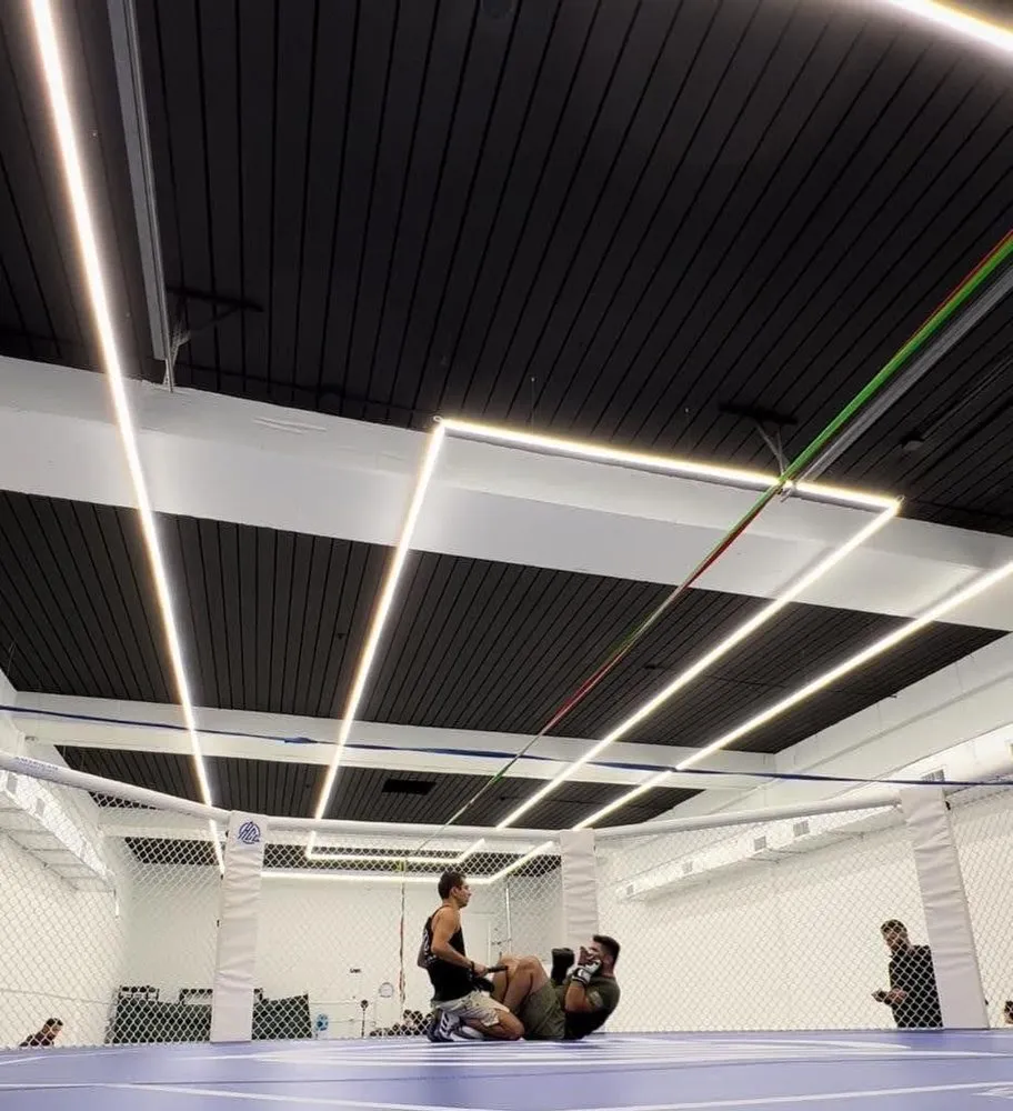 Affordable electrical service for homes in electrical repair,  by 