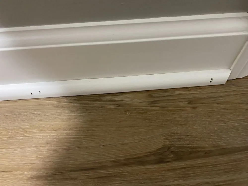 Slide of Diamond Rain