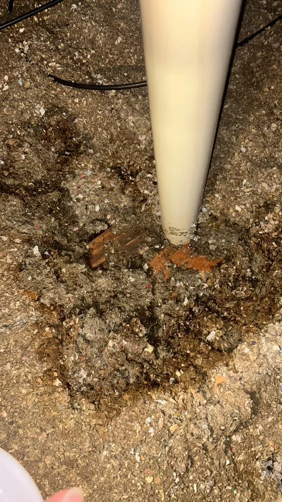 Certified outlet and switch repair experts serving ,  - Diaz Electrical Service