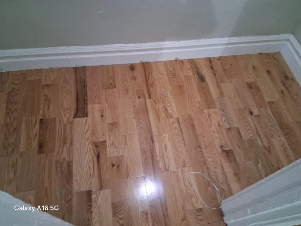 Slide of Diaz Painting