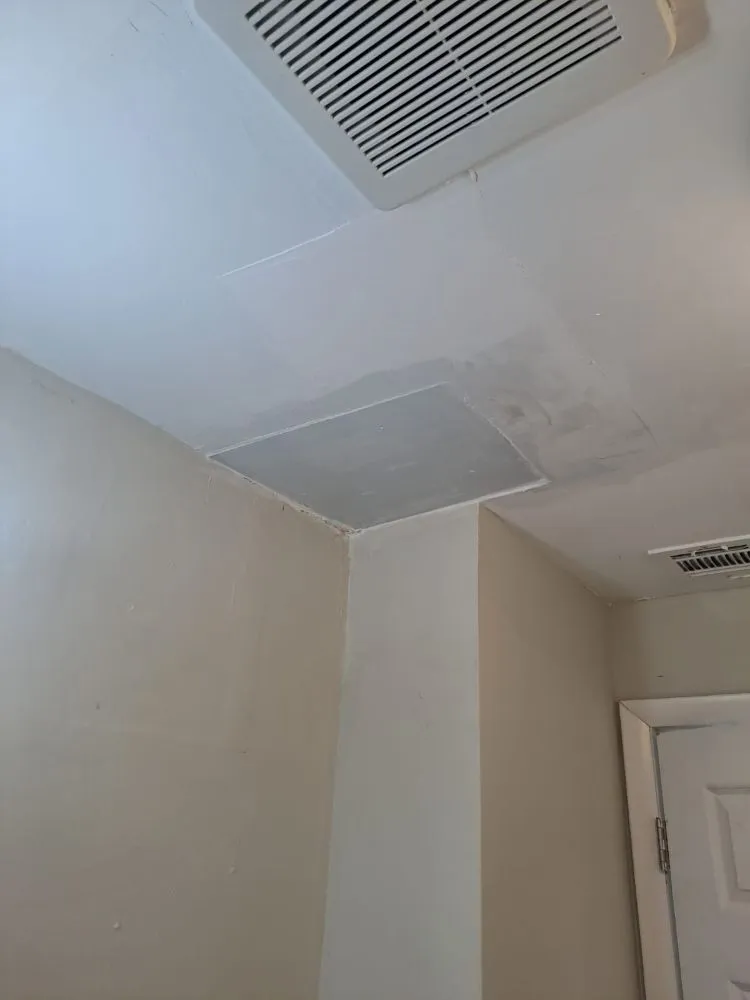 Slide of Diaz Painting