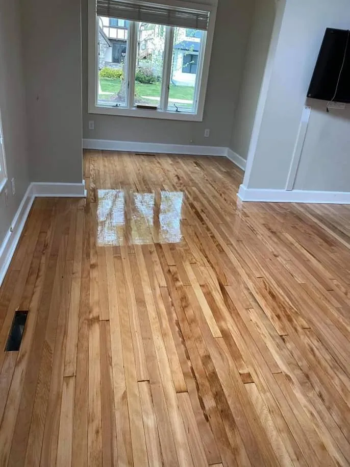 Slide of Diego's Painting & Remodeling