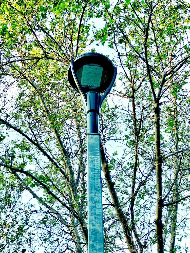 Slide of Diersing Electric