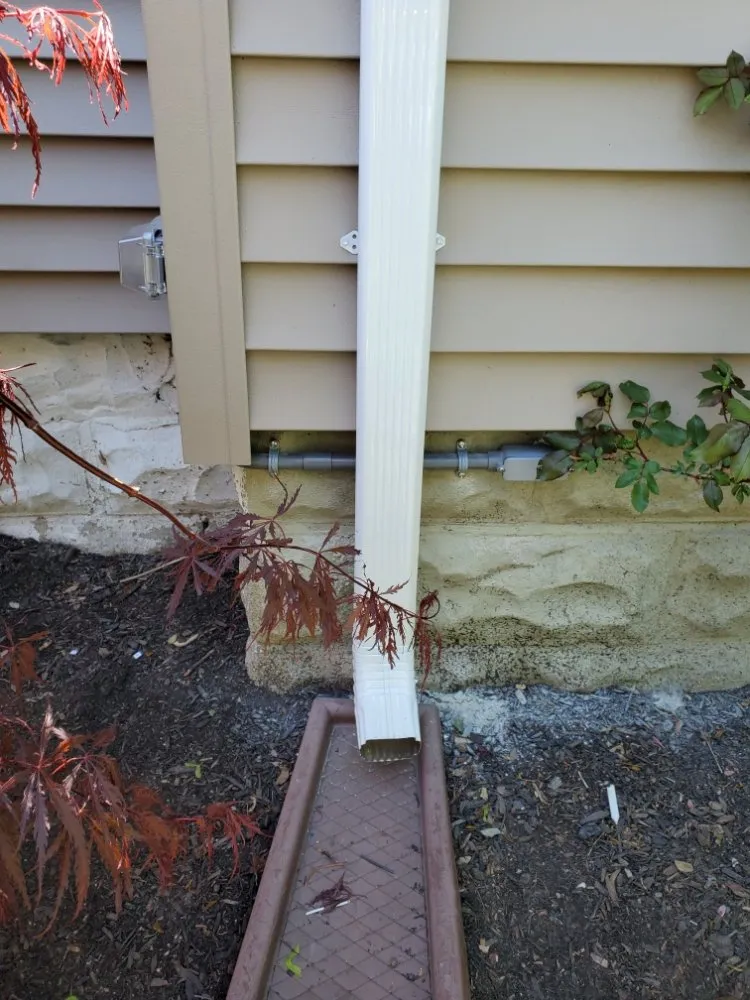 Slide of DiFiore Electric