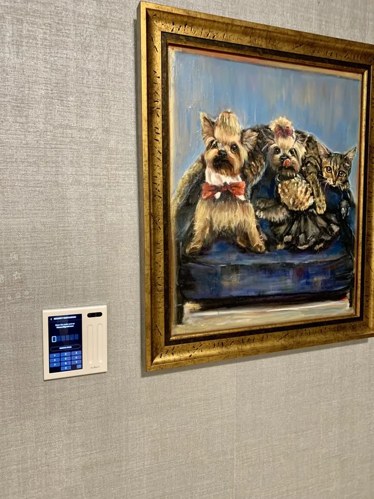 Slide of Dima Handymen and Electrical Team