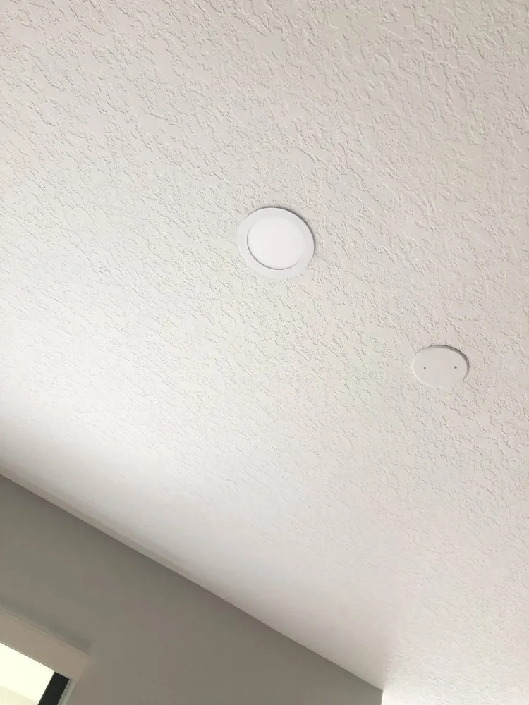 Slide of Dino Electric