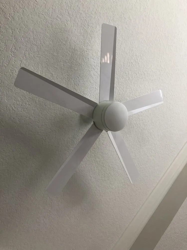 Slide of Dino Electric