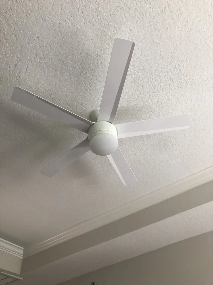 Slide of Dino Electric