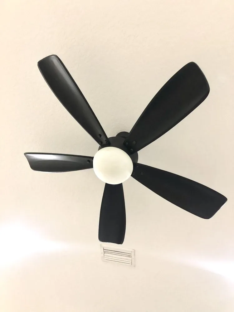 Slide of Dino Electric