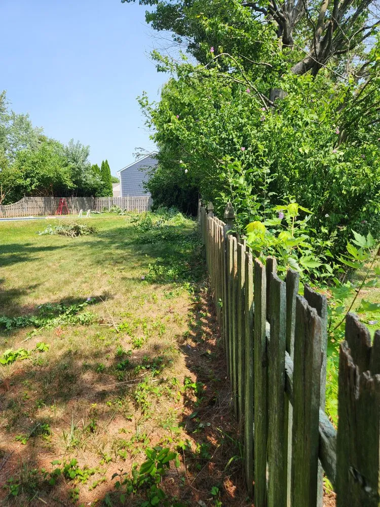 Slide of Dippold's Odds & Ends