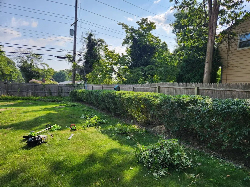 Slide of Dippold's Odds & Ends