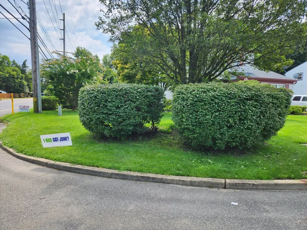 Slide of Dippold's Odds & Ends