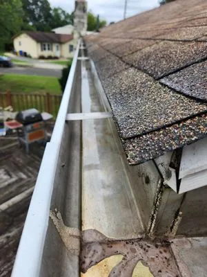 Dippold's Odds & Ends