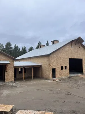 Divine design electric