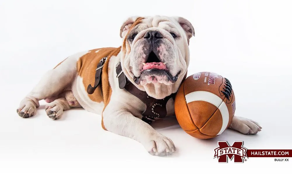 Slide of Dixie Electrical Controls & Automation