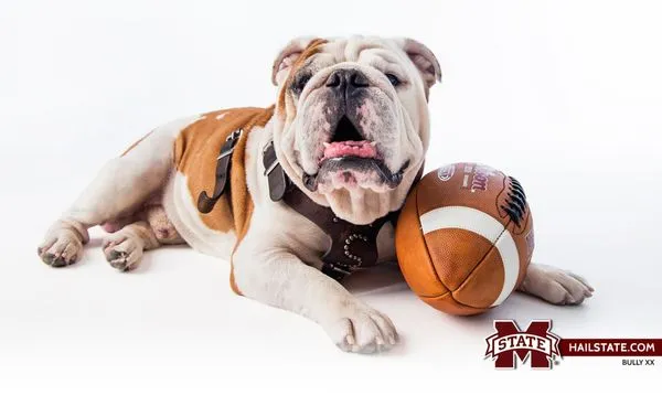 Dixie Electrical Controls & Automation Logo