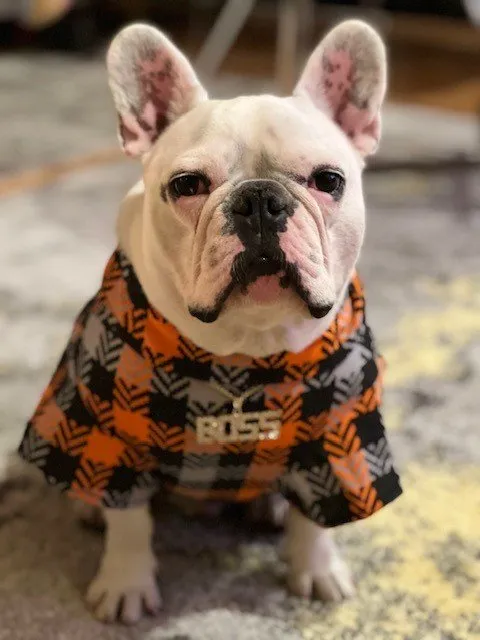 Slide of DIY GINGER GUY Electric