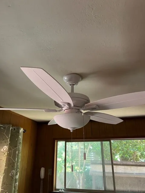 Slide of DIY GINGER GUY Electric