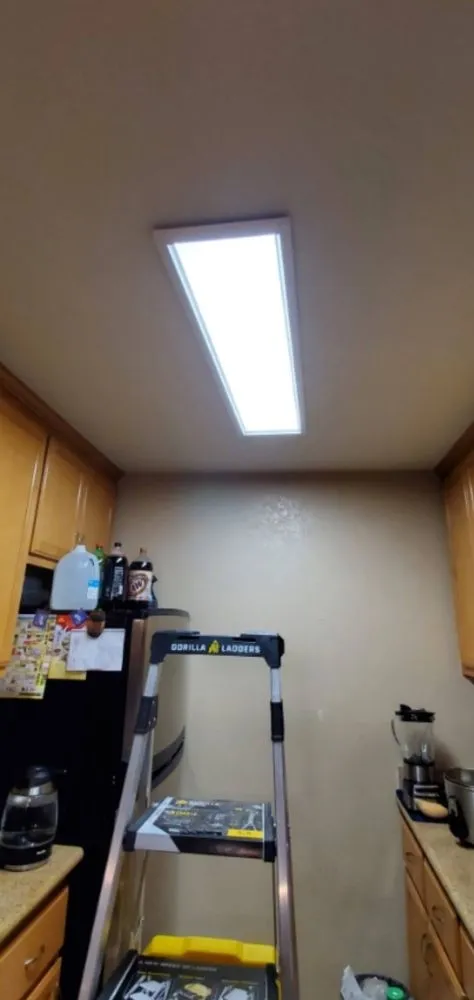 Slide of DIY GINGER GUY Electric