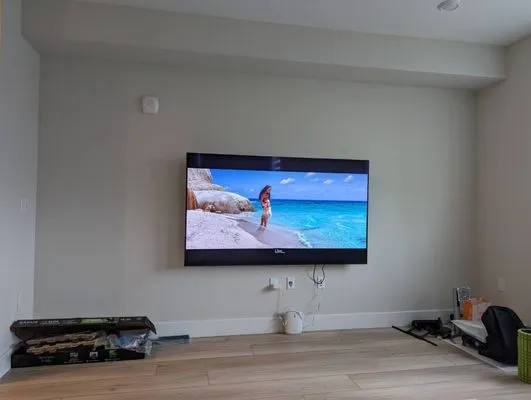 DIY GINGER GUY Electric Logo