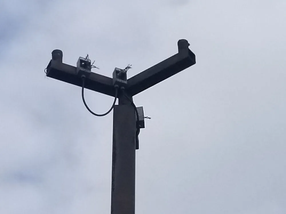 Slide of Dlighted Power