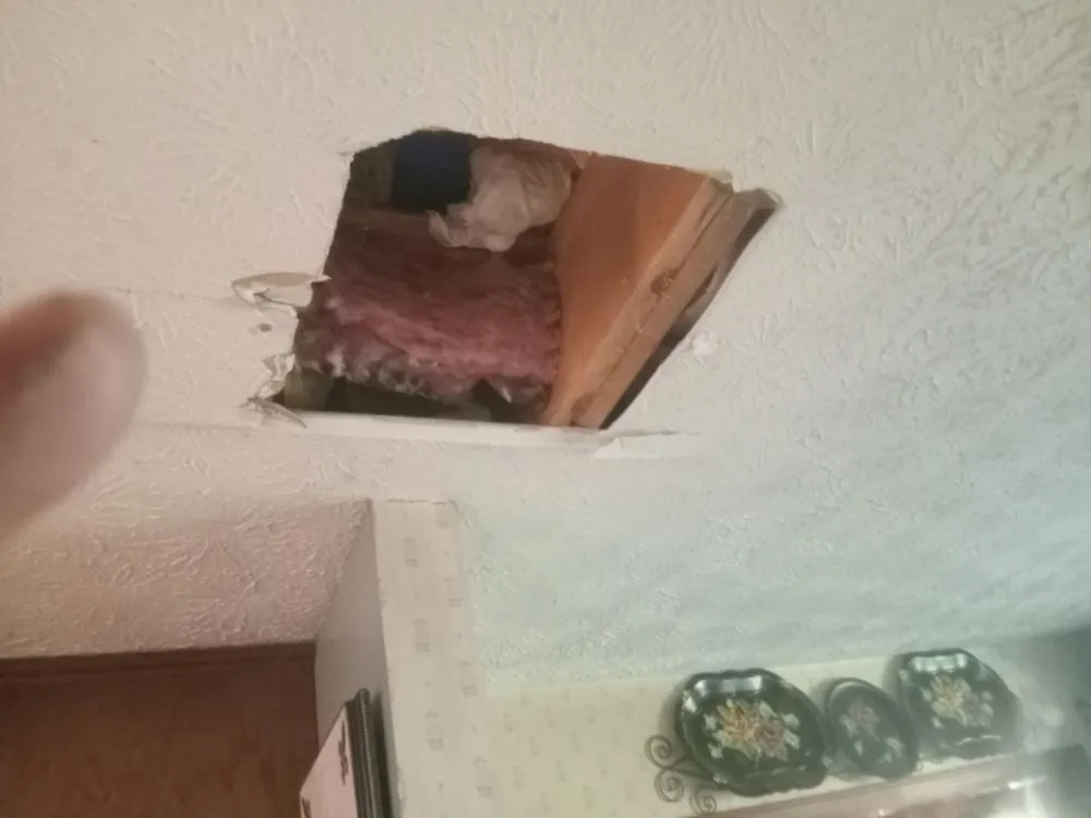 Expert electrical repair in Roxboro, NC by Dlo's Home Improvement