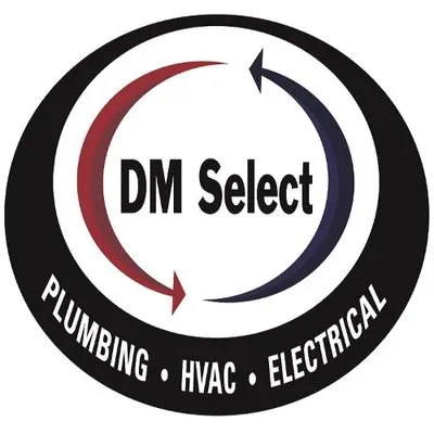 DM Select Services Logo