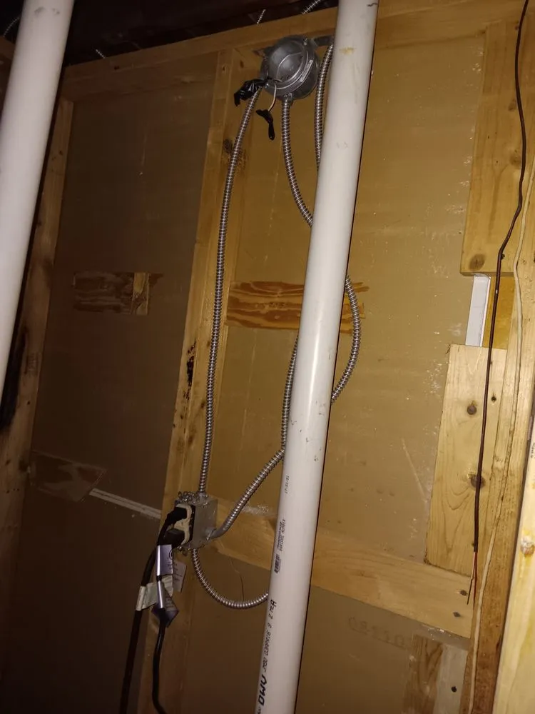 Slide of DNA Electric