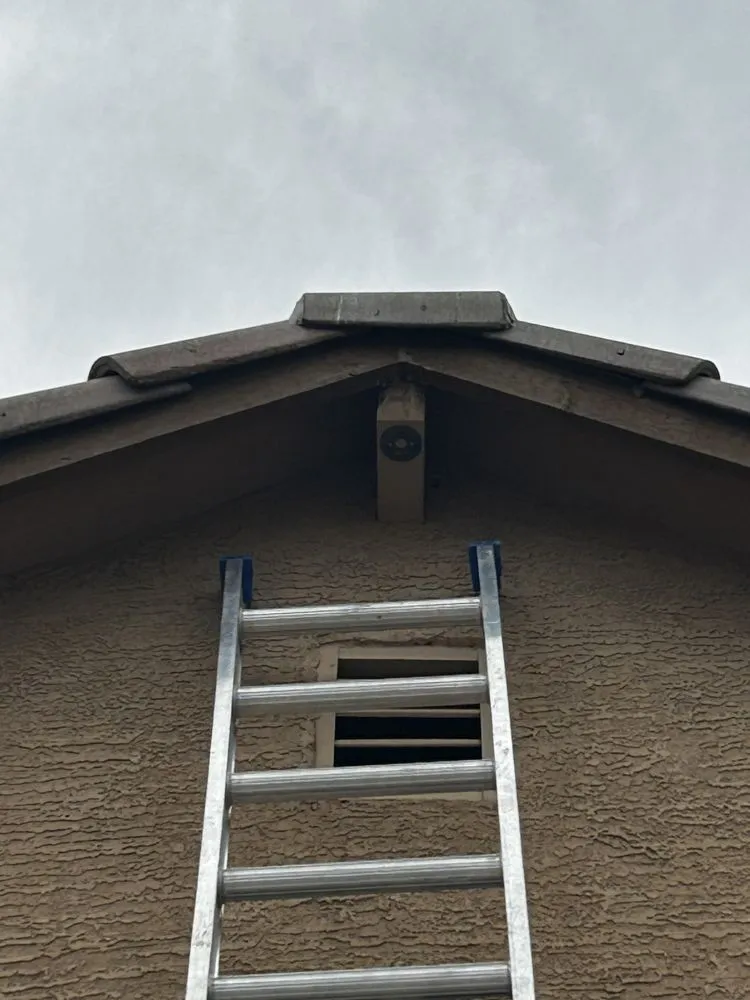 Slide of DNA Electrical Services