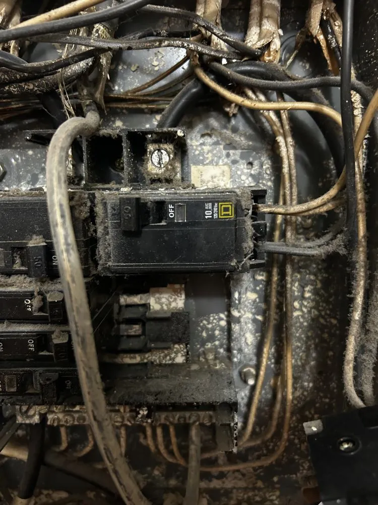 Slide of DNA Electrical Services