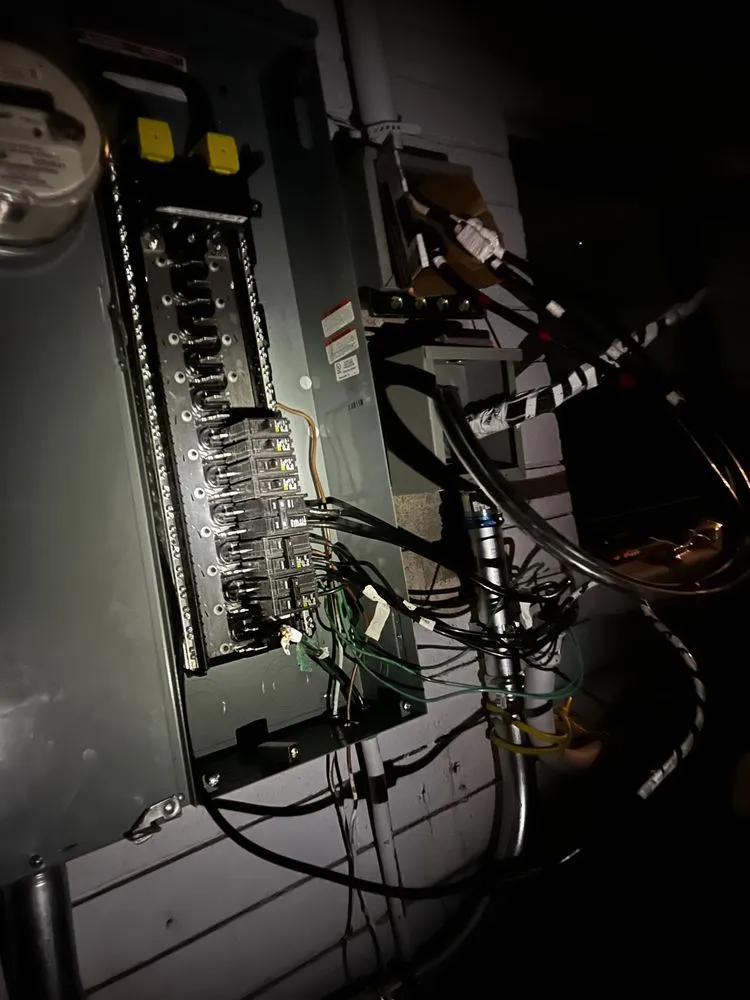 Slide of DNA Electrical Services