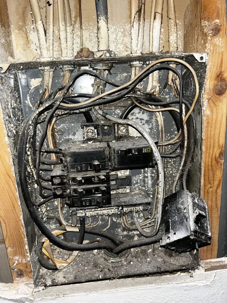 Slide of DNA Electrical Services