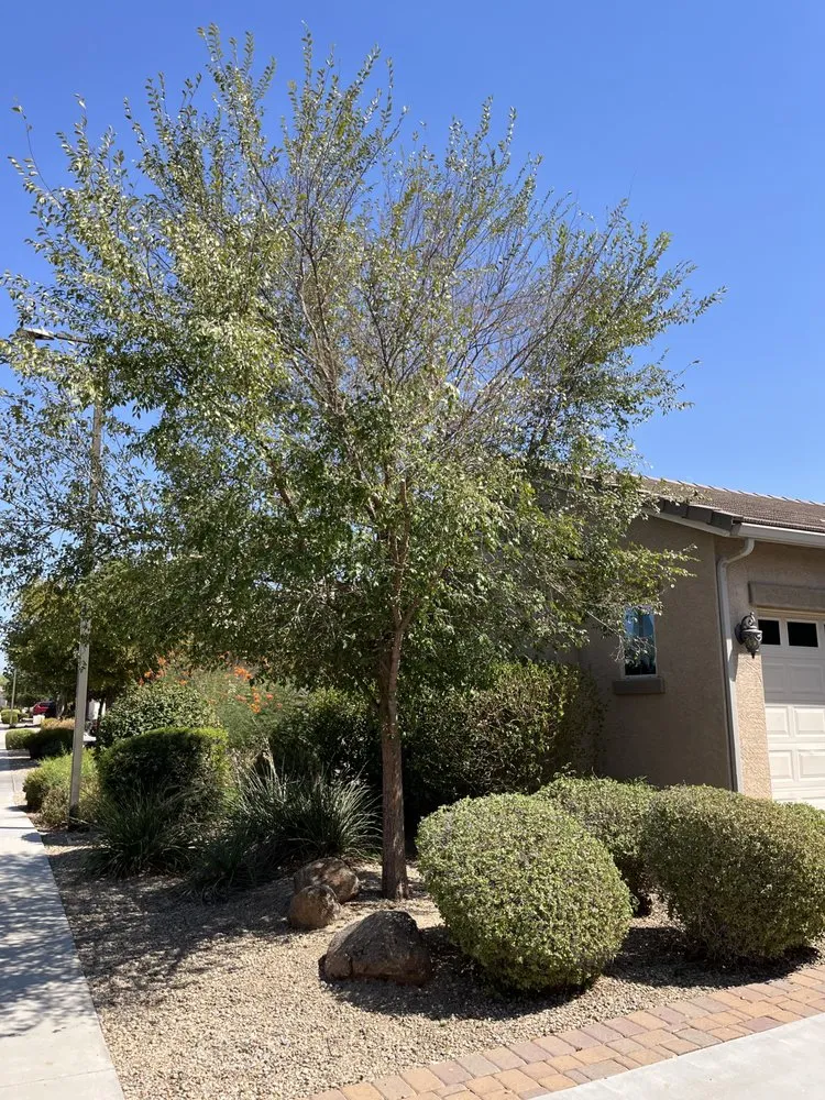 Slide of Do It All Handyman