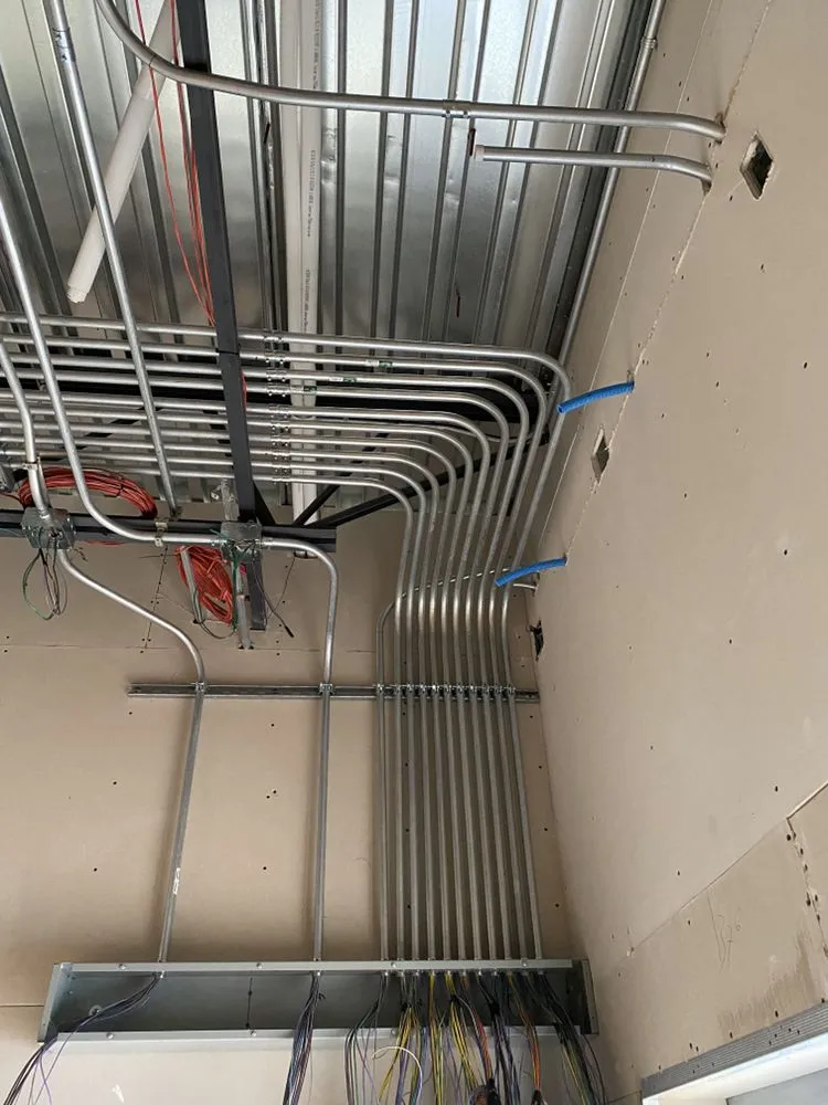 Slide of Doberman Electric