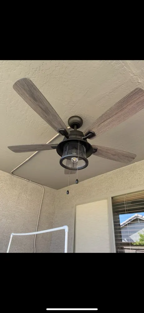 Slide of Doberman Electric