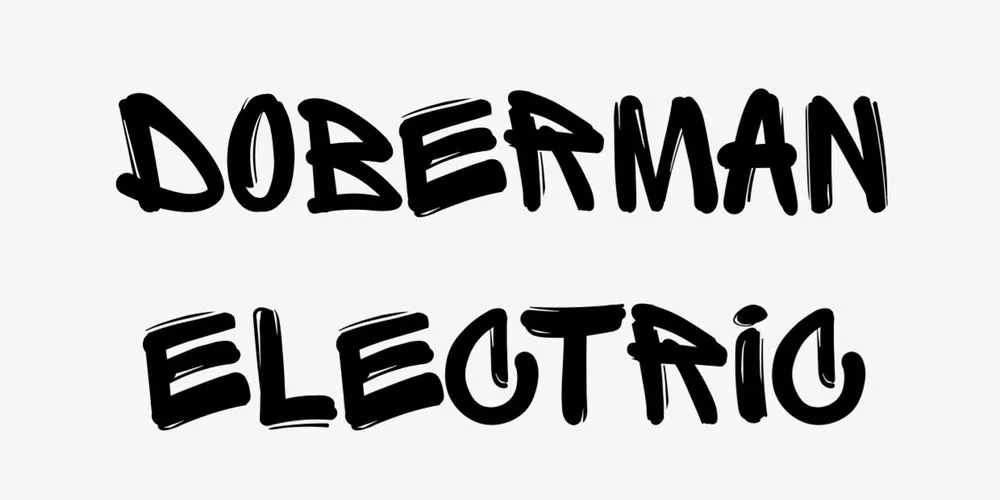 Slide of Doberman Electric