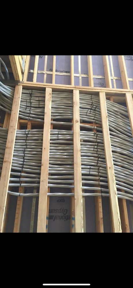 Slide of Doberman Electric