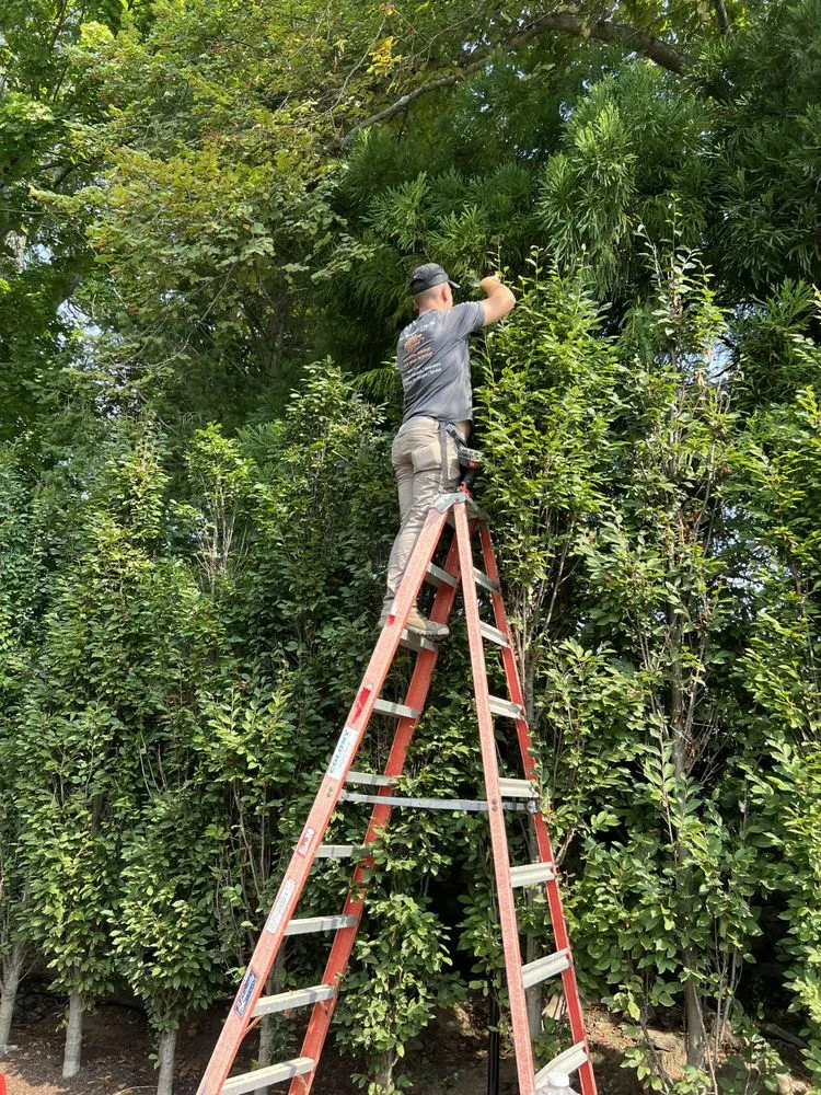 Slide of Doc Electric