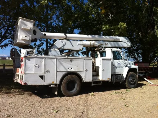 Docheff Electrical Service Logo